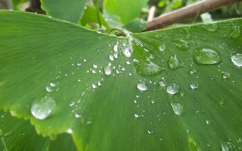 What Is a Tax Code and How Do You Check Yours?