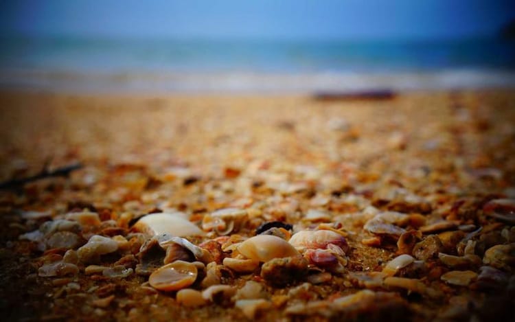 What Is the Research and Development Expenditure Credit (RDEC)?