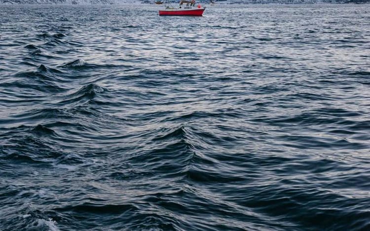 How to Claim the Seed Enterprise Investment Scheme (SEIS) Relief