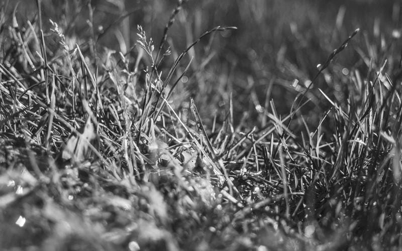 How to Keep Records for Your UK Tax Return